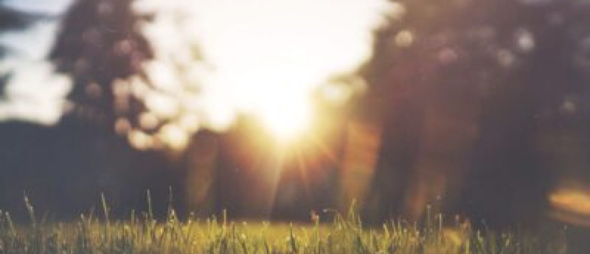 Waar het hart vol van is