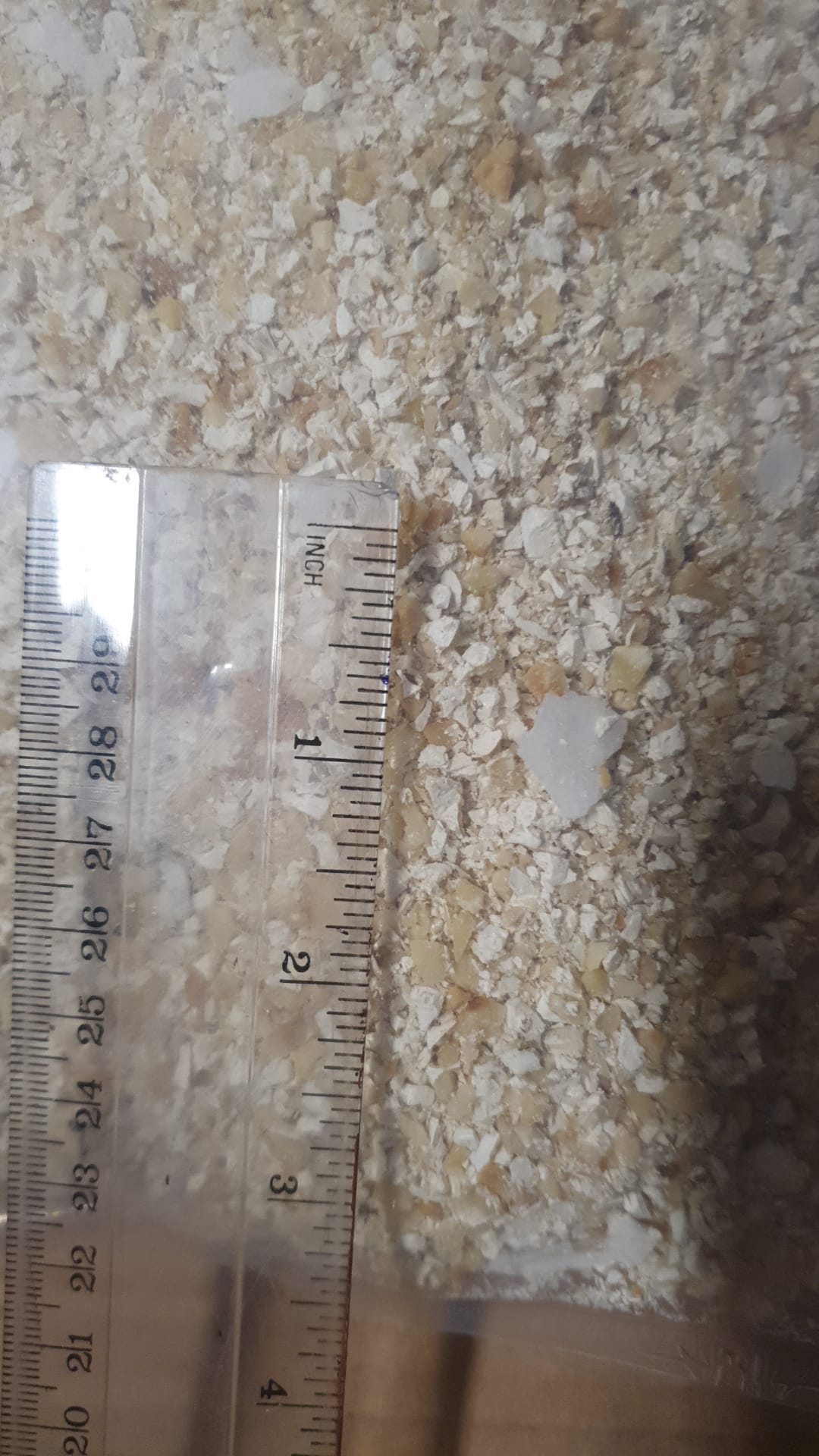 Prodotti semilavorati: granella di torrone nocciola Piemonte I.G.P. fine (5 kg)